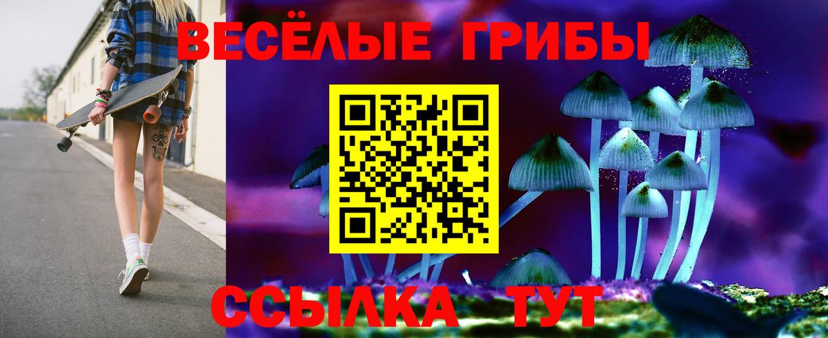 Ишим  Галлюциногенные грибы Cubensis  Вход с VPN  Псилоцибиновые грибы GOLDEN TEACHER 
