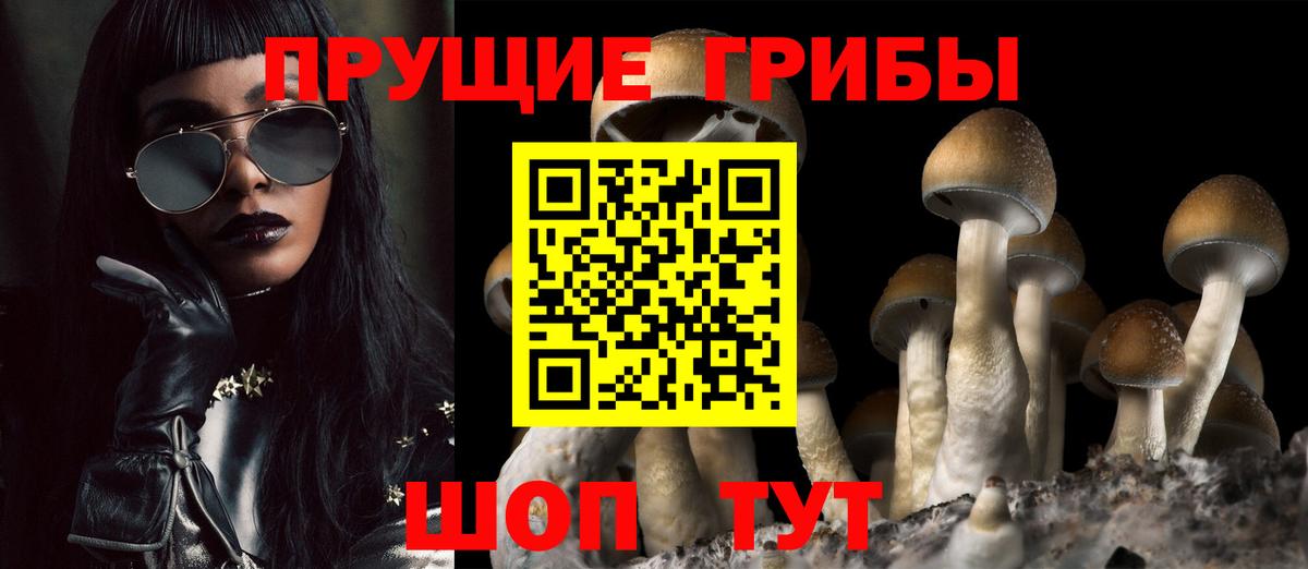 Галлюциногенные грибы Cubensis Ишим